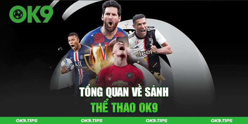 the-thao-ok9-ca-cuoc-the-thao-uy-tin-hang-dau-viet-nam_S3OvQU2pWS_9ae685c5ccc493abbc49fe5526f3bc4c