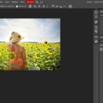 So Sánh PhotoshopOnline.info Với Canva, Fotor, Pixlr: Ai Là Vua Chỉnh Ảnh Online?